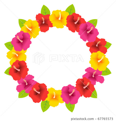 Round frame of colorful hibiscus Round frame of colorful hibiscus 67765573