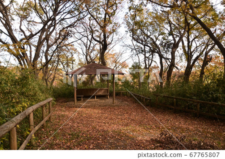 染田久地染上秋葉 染田久地染上秋葉 67765807