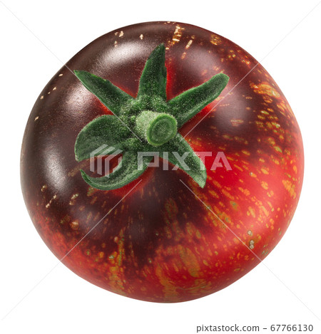 Blue fire heirloom tomato, ripe, antho-rich, 67766130