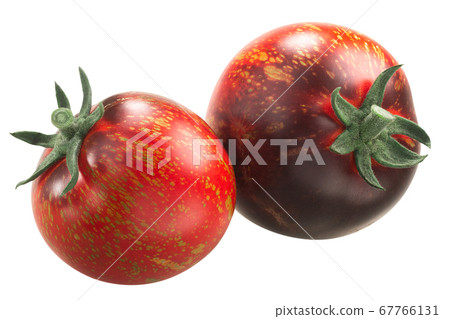 Blue fire heirloom tomatoes, ripe, antho-rich, Blue fire heirloom tomatoes, ripe, antho-rich, 67766131