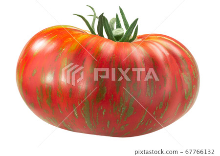 Large Striped Boar heirloom tomato,  isolated 67766132