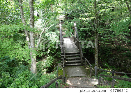Masuda City, Shimane Prefecture, Nature of Ura-Tamikyo 67766242