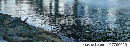 釜山Suyeong Bay Centum City 2 釜山Suyeong Bay Centum City 2 67766629