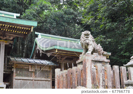 A guardian dog protecting the sanctuary of Ebun Shrine in the mossy forest of Kyoto 67766778