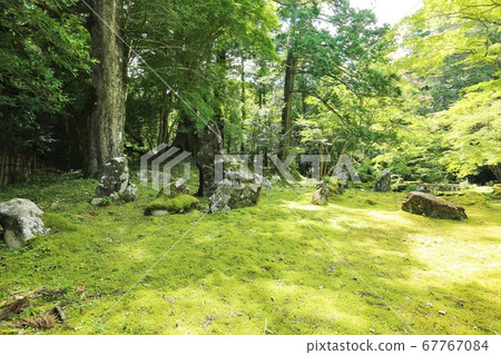 Takikita Hagi Castle House 67767084