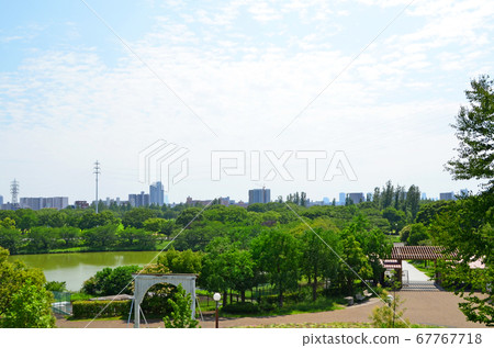 夏季鶴見琉球公園（大阪） 67767718