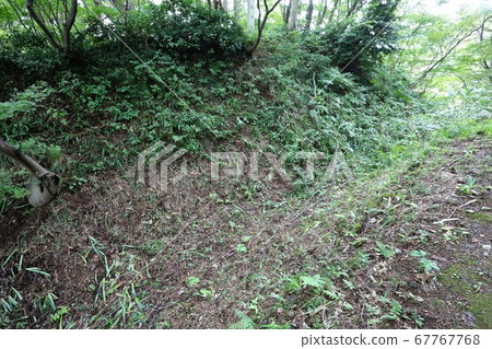 春日山城堡 67767768