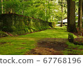 Landscape with beautiful moss 67768196