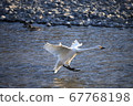 Moment of landing 67768198