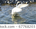 Moment of landing 67768203