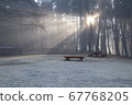 Sunlight through the morning 67768205