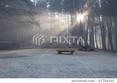 陽光透過早晨 陽光透過早晨 67768205