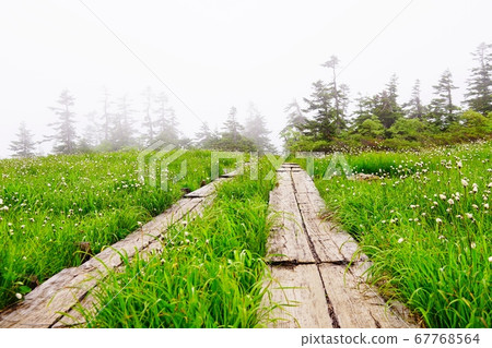 Oze Hatomachi Pass to Shibuzan Oyama Sawadashiro area Oze Hatomachi Pass to Shibuzan Oyama Sawadashiro area 67768564
