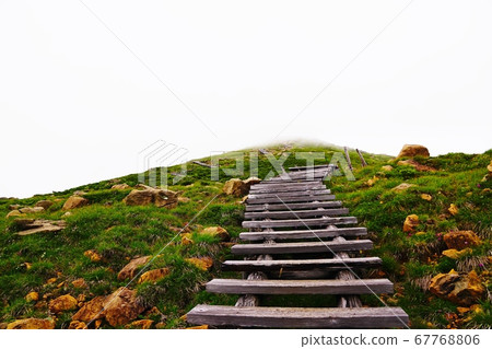 Road from Oze Yamanohana to Shibuzan Mountain Road to the summit 67768806