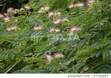 聯合起來 聯合起來 67769001