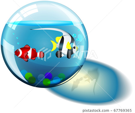Two tropical fish in a glass ball 67769365