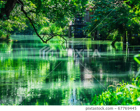 Riverside scenery with waterwheels Azumino Daio Wasabi Farm 67769445
