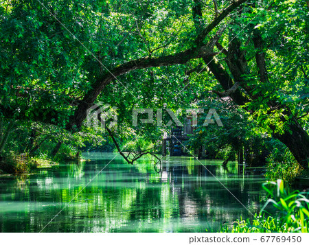 Riverside scenery with waterwheels Azumino Daio Wasabi Farm Riverside scenery with waterwheels Azumino Daio Wasabi Farm 67769450