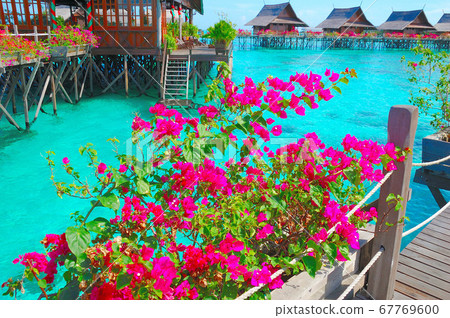  Water cottage 67769600