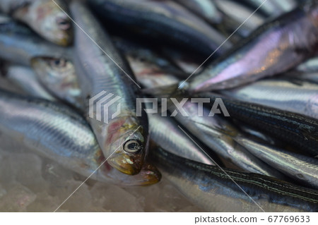 Okinawa Iyumachi Fish Market Okinawa Iyumachi Fish Market 67769633