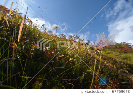 Gingulma autumn leaves (Ginsendai, Hokkaido) Gingulma autumn leaves (Ginsendai, Hokkaido) 67769678