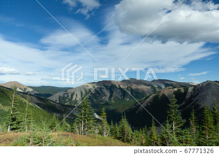 Sulphur Skyline Trailhead, Jasper National Park Sulphur Skyline Trailhead, Jasper National Park 67771326