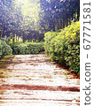 Arboretum 67771581