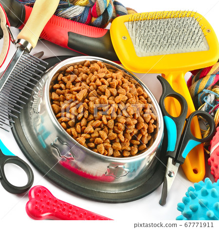 Dry food and supplies for dogs isolated on white Dry food and supplies for dogs isolated on white 67771911