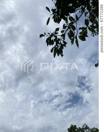 多雲的天空 多雲的天空 67772266
