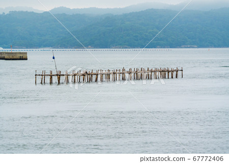 Matsushima, one of the three most scenic views of Japan Oyster culture shelf, Matsushima Town, Miyagi Prefecture 67772406