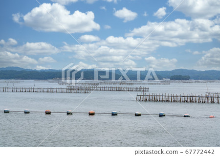 宮城縣松島町,日本牡蠣文化架三大風景名勝之一的松島 宮城縣松島町,日本牡蠣文化架三大風景名勝之一的松島 67772442