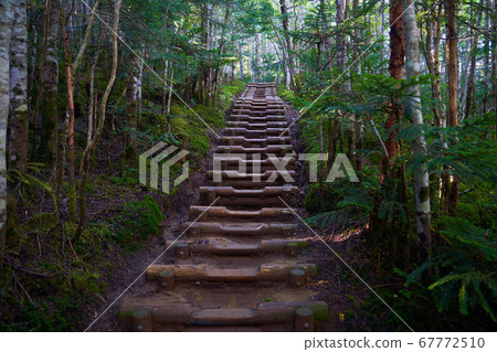 A mountain trail from the mountain lodge (Oral lodge) on the Otaru Pass in Yamanashi to Kokushigatake A mountain trail from the mountain lodge (Oral lodge) on the Otaru Pass in Yamanashi to Kokushigatake 67772510
