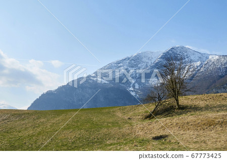 天空草地 天空草地 67773425