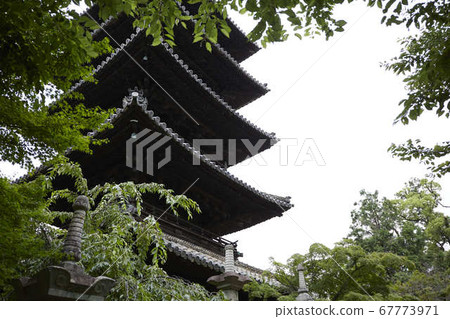 Hachiji-kokodera的五層寶塔 67773971