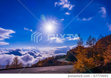(Shizuoka Prefecture) Mt. Fuji/Fujinomiyaguchi 5th station Autumn leaves and sea of clouds (Shizuoka Prefecture) Mt. Fuji/Fujinomiyaguchi 5th station Autumn leaves and sea of clouds 67774091