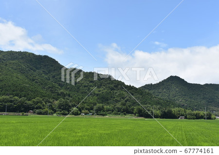 山，稻田和藍天 67774161