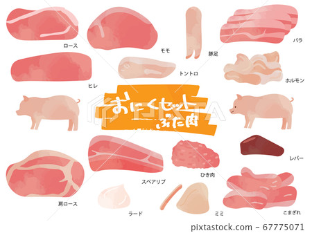 豬肉插圖集 67775071