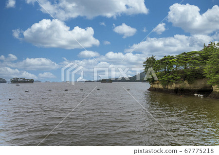松島的風景,日本的三大風景之一,沿海的一個島,宮城縣松島鎮 松島的風景,日本的三大風景之一,沿海的一個島,宮城縣松島鎮 67775218
