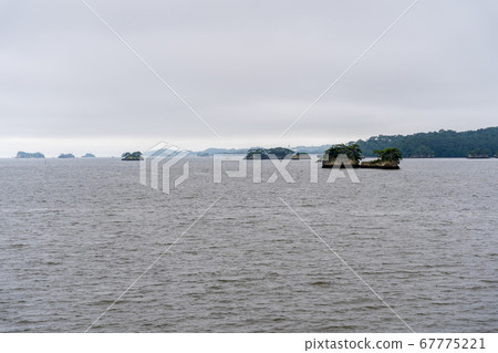 松島的風景,日本的三大風景之一,沿海的一個島,宮城縣松島鎮 松島的風景,日本的三大風景之一,沿海的一個島,宮城縣松島鎮 67775221