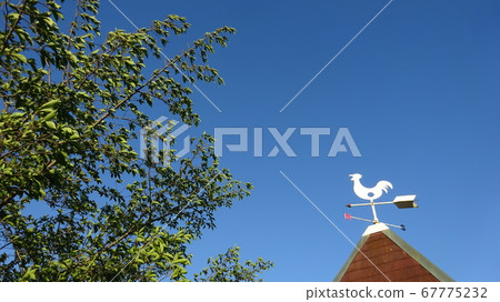 Wind climb in the blue sky Wind climb in the blue sky 67775232