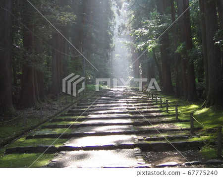 陽光明媚的白山神社的地面 陽光明媚的白山神社的地面 67775240