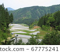 山地景觀 67775241