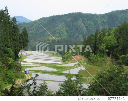 山地景觀 山地景觀 67775241