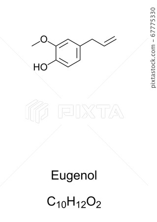 Eugenol, chemical structure and formula. Clove odor. Extracted mainly from clove bud oil and clove leaf oil. Used in perfumes, flavorings and as local antiseptic and anaesthetic. Illustration. Vector. 67775330