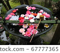 鮮花和鋼包漂浮在水中 67777365