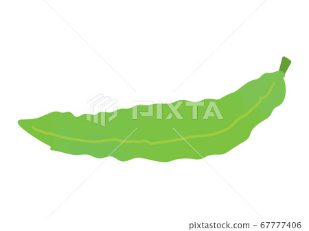 尿豆的插圖 67777406