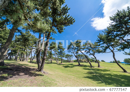 青森縣八戶市市淡江海岸風景秀麗 67777547
