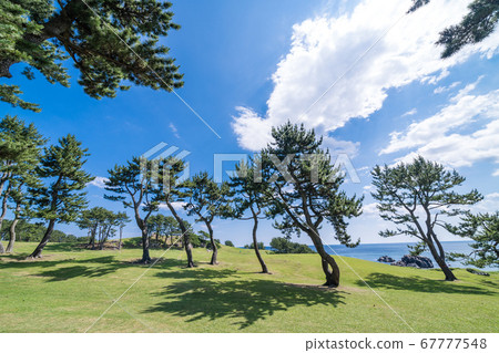青森縣八戶市市淡江海岸風景秀麗 青森縣八戶市市淡江海岸風景秀麗 67777548