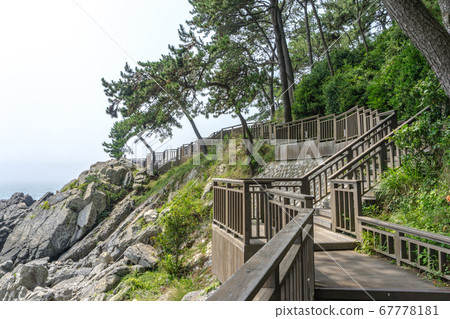 The wooden walk way over the rock cilff in Haeundae Dongbaekseom Island near Haehundae beach 67778181