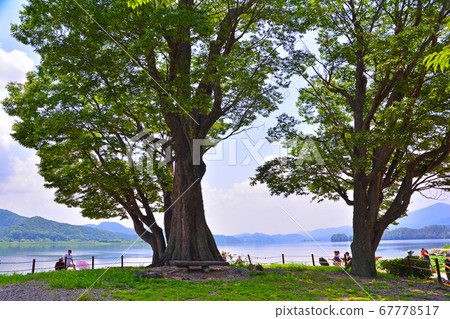 Yang Shu-ri, the fresh green of July Yang Shu-ri, the fresh green of July 67778517